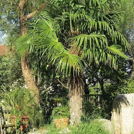 Otel Little Garden 2*